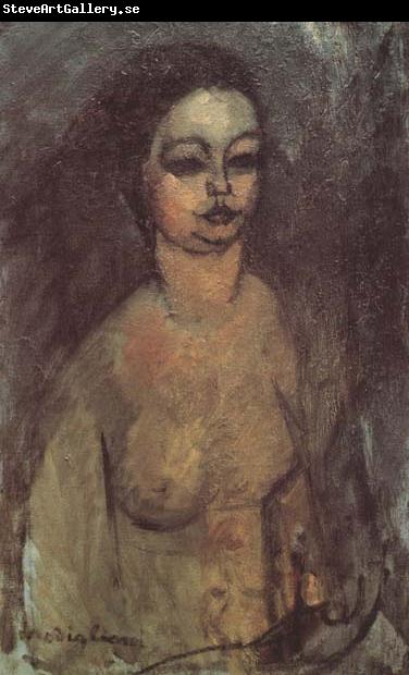 Amedeo Modigliani Jeune fille nue (mk38)